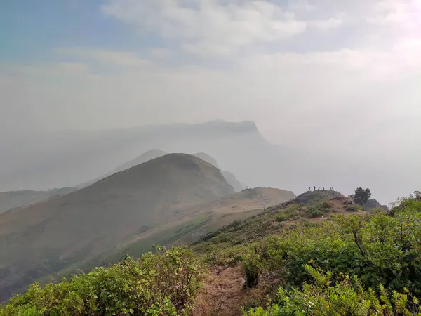 Chikmagalur 'daki Mullayanagiri' de sabah manzarası