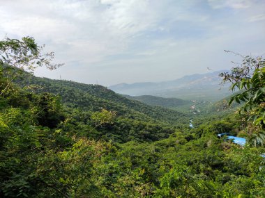Hindistan 'ın Andhra Pradesh kentindeki Tirupati Tapınağı' na giden geleneksel yol olan Srivari Mettu Ayak Yolu 'ndan manzaralı doğal bir manzara, ruhani yolculuk boyunca nefes kesici manzaralar sunuyor..