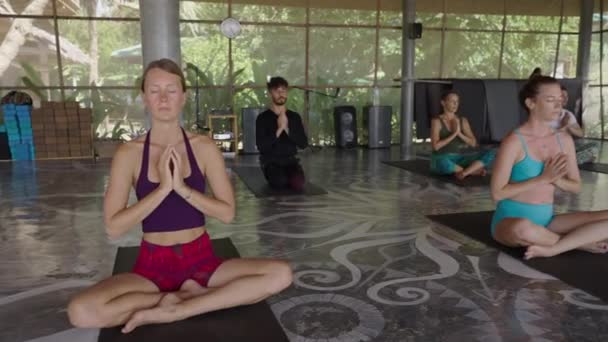 Группа Людей Практикуют Йогу Вместе Padmasana Позе Дыхание Чувство Дзен — стоковое видео