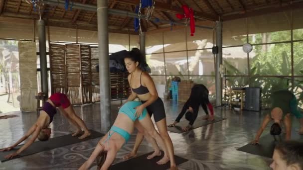 一群人在瑜伽课上表演眼镜蛇姿势 团体活动及健身概念 4K水平录影带 — 图库视频影像