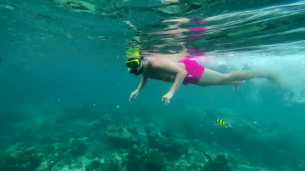 穿着粉色短裤和面具在热带海底潜水的男人 用Iphone射击 — 图库视频影像