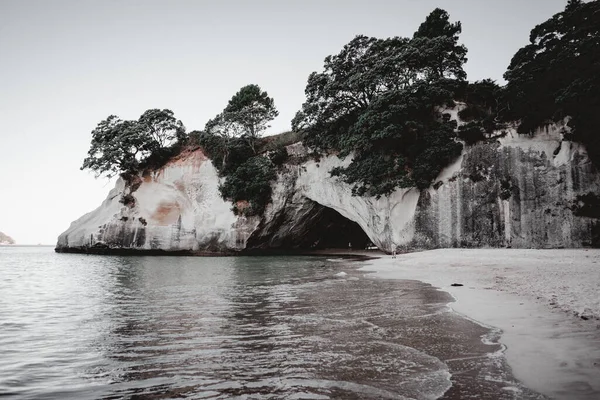 清澈天空下的海滩 岩石和树木 生活方式旅行概念 — 图库照片