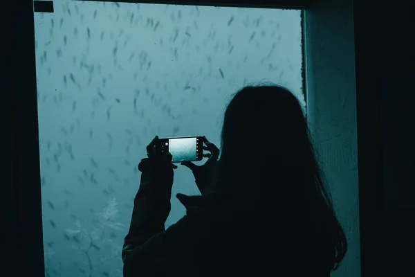水族館のガラスを通して見られる海の底で魚の彼女のスマートフォンで写真を撮る長髪の少女 ミルフォードサウンド ニュージーランド 旅行のコンセプト — ストック写真