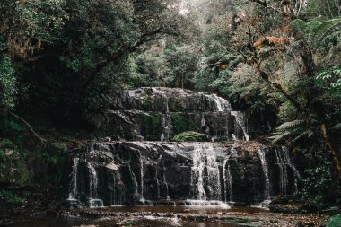 Güzel şelaleler büyük kayaların arasından küçük sakin bir göle dökülüyor yeşillikler ve doğa ağaçları arasında gizli bir yerde, purakaunui şelaleleri, Yeni Zelanda - seyahat konsepti