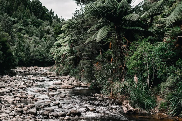 Flacher Fluss Mit Vielen Steinen Und Felsen Und Wenig Ruhiges — Stockfoto