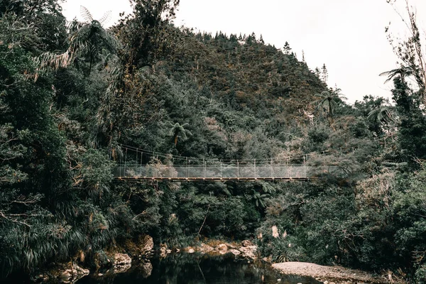 Eisen Holz Hängebrücke Über Den Ruhigen Fluss Zwischen Dschungel Und — Stockfoto