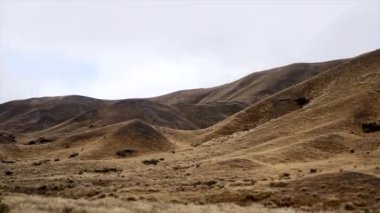 Sonbahar bitkisi olan dağlar yoldan geçen bir arabanın yanında, Yeni Zelanda - Doğa Yolculuğu