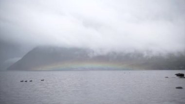  Ördekler gökkuşağı zeminiyle Nelson Gölü, Yeni Zelanda 'da bir dağ zemininde yüzüyorlar. - Seyahat konsepti