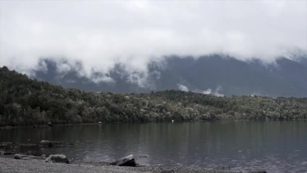 Giornata Nuvolosa Lago Rotoiti Con Vista Sulle Montagne Vegetazione Nuova — Video Stock