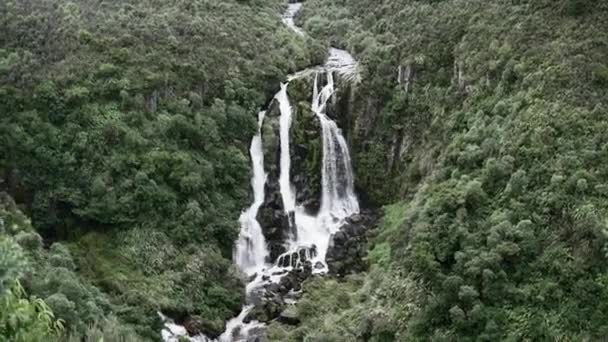 Wawapunga Wodospad Naturalny Otoczony Dużym Zielonym Lasem Nowa Zelandia Travel — Wideo stockowe