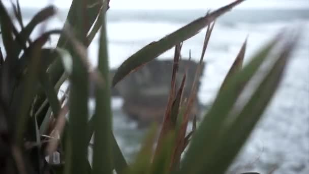 Palačinky Skály Útesů Moře Nový Zéland Cestovní Životní Styl — Stock video
