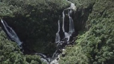 İnanılmaz doğal şelalenin gökyüzü manzarası ağaçlarla çevrili, Yeni Zelanda - seyahat videosu