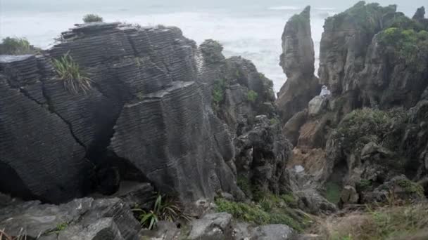 Stor Pannkaka Rock Hill Vid Klipporna Och Havet Nya Zealand — Stockvideo