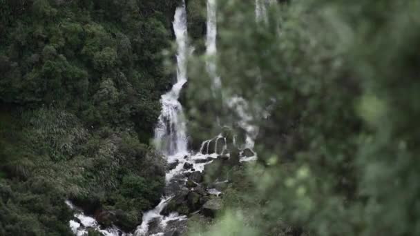 Waipunga Fällt Natürlicher Wasserfall Fallendes Wasser Über Vegetation Neuseeland Zeitlupe — Stockvideo