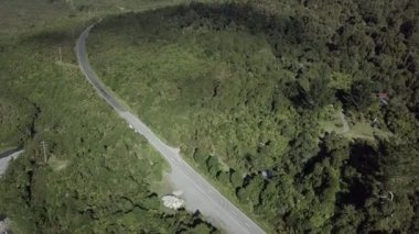 Ormanın ortasında arabaların olduğu bir yol manzarası, Yeni Zelanda - Doğa Konsepti