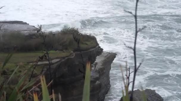 Mer Agitée Brisant Les Vagues Sur Falaise Rocheuse Nouvelle Zélande — Video