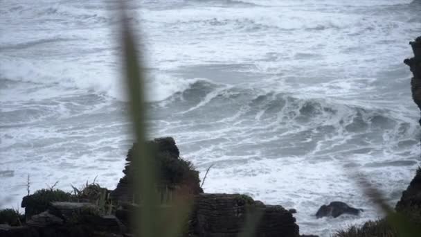Crepe Rocas Día Lluvioso Mar Agitado Nueva Zelanda Viajar Concepto — Vídeos de Stock