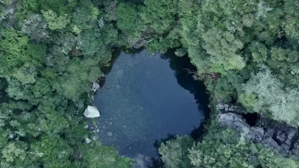 Widok Lotu Ptaka Tajnej Laguny Krystalicznie Czystą Spokojną Wodą Nowa — Wideo stockowe