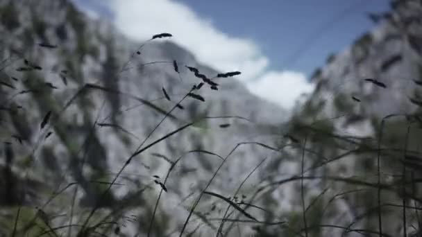 Luftaufnahme Eines Berges Mit Einem Strommast Der Mitte Spanien Reisekonzept — Stockvideo