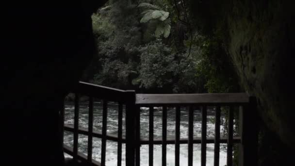 Mujer Mira Hacia Fuera Sobre Una Cascada Natural Nueva Zelanda — Vídeos de Stock