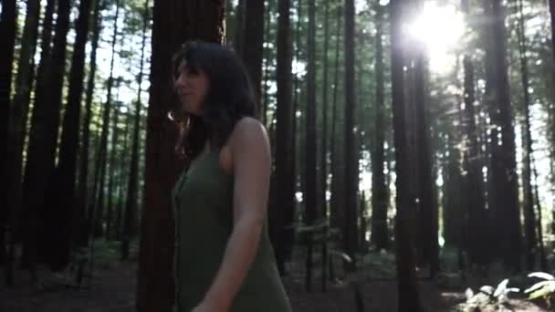 Kaukasische Vrouw Wandelt Door Een Bos Van Bomen Nieuw Zeeland — Stockvideo