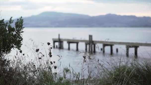 Puente Piedra Con Gaviotas Junto Mar Tarawera Glampling Nueva Zelanda — Vídeos de Stock