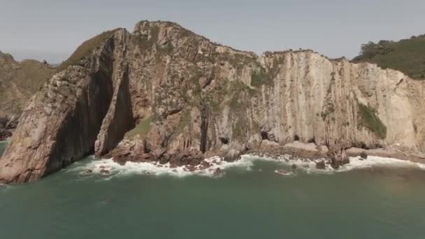 Красиві Скелі Зеленим Морем Чайками Літають Задньому Плані Подорожі Відео — стокове відео