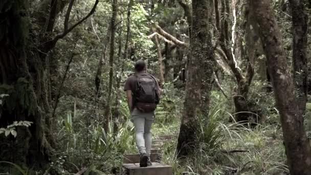 Hombre Caminando Con Mochila Través Escaleras Subida Del Bosque Nueva — Vídeos de Stock