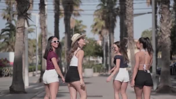 Vier Meisjes Met Hun Rug Gedraaid Lopen Rond Het Vertellen — Stockvideo