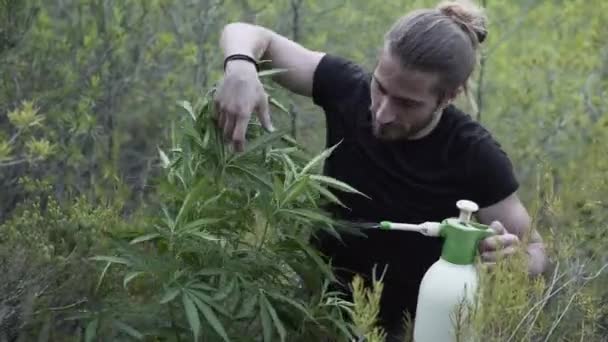 Tipul Caucazian Zâmbind Atingând Plantă Pulverizând Substanțe Chimice Concept Medicină — Videoclip de stoc