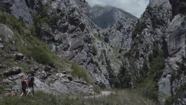 アストゥリアス州の山を犬が歩くスペインのカップル 旅行コンセプト — ストック動画