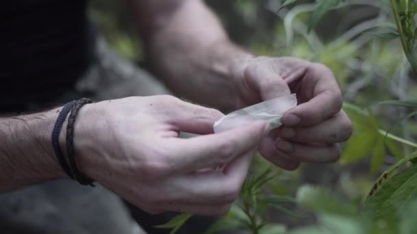 Kaukasiska Händer Med Armband Som Förbereder Led Skog Alternativ Medicin — Stockvideo