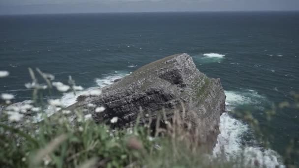 Вид Гори Маргаритками Середнього Розміру Скелі Астурії Подорожі Відео — стокове відео