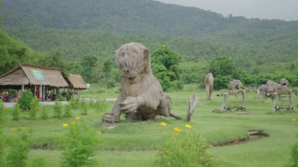 Memoriali Animali Una Valle Verde Nel Nord Della Thailandia Turismo — Video Stock