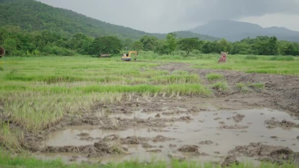 북부의 진흙투성이의 계곡에서 일하는 발굴자 — 비디오