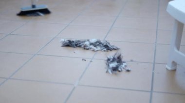 Hayvani saç kilitleri yerden süpürülüyor. Tanımlanamayan süpürge saçlı adam - 4K Yatay video