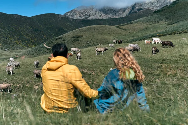 Kavkazský Chlapec Dívka Sedí Spolu Trávě Poli Dívají Krávy Které — Stock fotografie