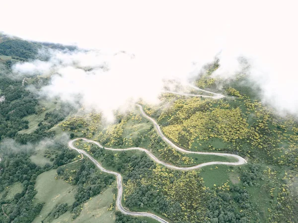Longue Route Étroite Solitaire Avec Nombreuses Courbes Dans Vallée Parmi — Photo
