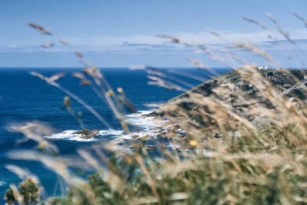 Stunning Views Cape Vidio Plants Next Violent Waves Cantabrian Sea — Stock Photo, Image
