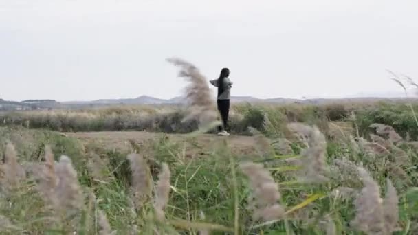 Прекрасна Дівчина Окулярами Полі Кружляє Іспанські Краєвиди — стокове відео