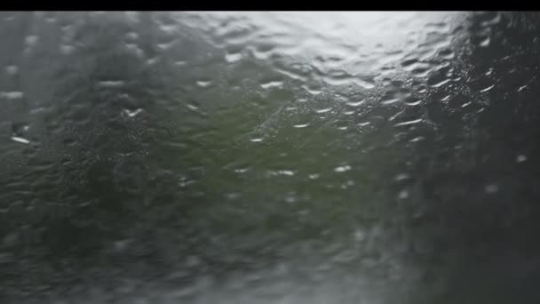 背景に森のある車のガラスの後ろの雨の眺め代替旅行 — ストック動画