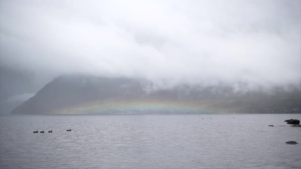 Kaczki Pływające Tęczowym Tłem Tle Gór Nad Jeziorem Nelson Nowa — Wideo stockowe