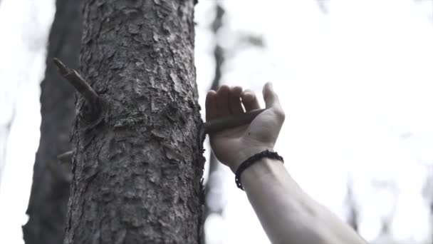 Homens Caucasianos Mão Segurando Uma Borda Árvore Andorra Alternativa Viagem — Vídeo de Stock
