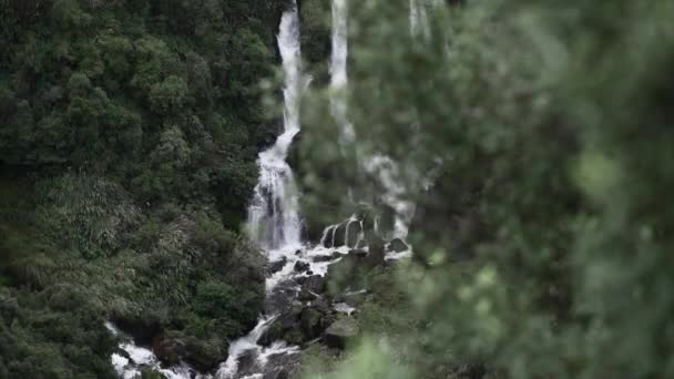 Waipunga Doğal Şelaleden Düşer Yeni Zelanda Bitki Örtüsünün Üzerine Düşen — Stok video