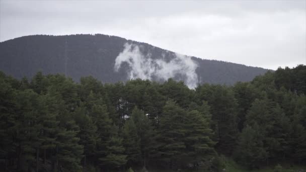 Δέντρα Του Δάσους Ένα Βουνό Πίσω Τους Ομίχλη Εναλλακτικό Ταξίδι — Αρχείο Βίντεο