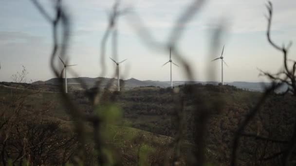 Foreground Blurry Branches Background Windmills Working Energy Field Mountain Eco — Stock Video