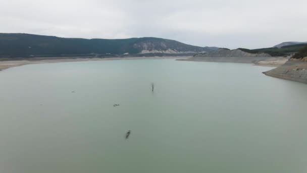 Drone Vista Del Agua Embalse Con Árbol Sin Hojas Centro — Vídeo de stock