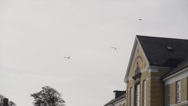 Verschillende Deense Huizen Een Bewolkte Dag Met Vogels Vliegen Kopenhagen — Stockvideo