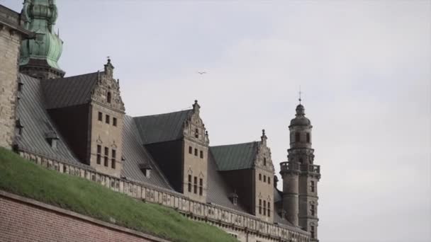 コペンハーゲンを飛ぶ鳥と曇りの日の歴史的建造物 ヨーロッパ旅行ウェブサイト — ストック動画