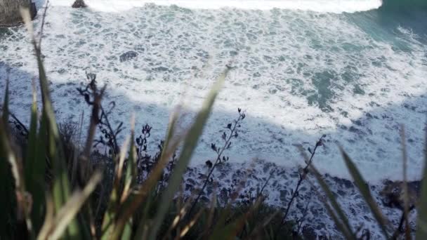 海岸やニュージーランドでは波が砕けています スローモーション 旅行のコンセプト — ストック動画